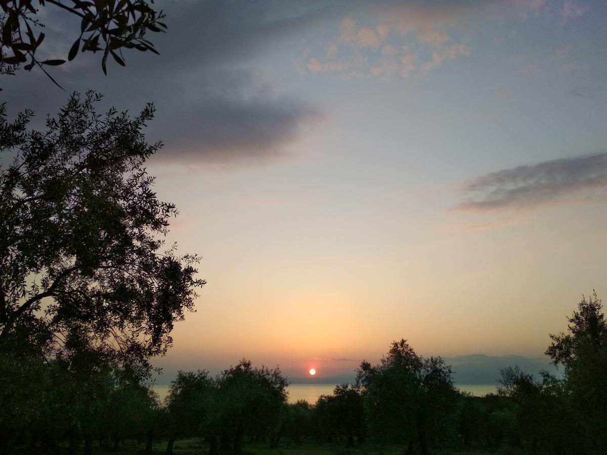 Villa Vrachos สกาลา กัลลีราคิส ภายนอก รูปภาพ